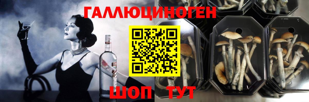Псилоцибиновые грибы Cubensis  Галлюциногенные грибы мухоморы  Новодвинск  Вход с VPN 