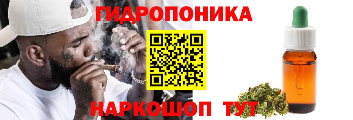 Марихуана конопля  Вход с VPN  Новодвинск  Шишки марихуана AK-47 